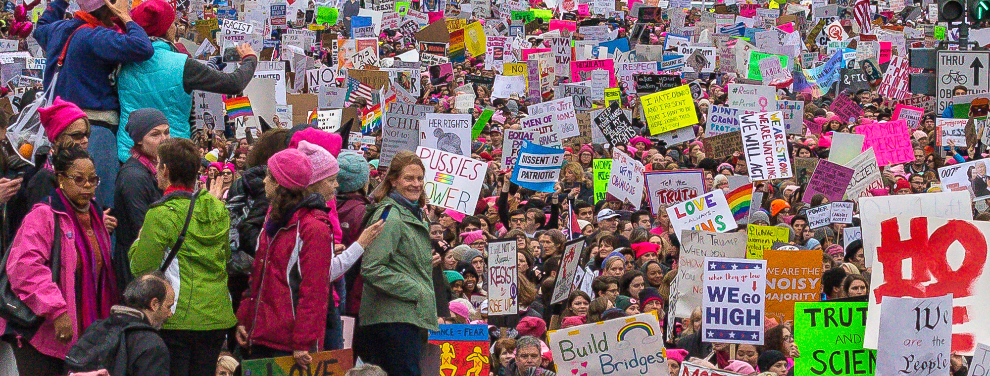 Flickr Women's March on Washington by Mobilius in Mobili (cc)